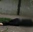 В Саранске на землю упал мужчина: трагедия или фарс? - Столица С