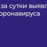 В Мордовии от COVID-19 скончалась женщина-диабетик - Info-rm.Com