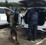 В Мордовии подведены итоги спецоперации на объектах транспорта - Вечерний Саранск