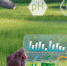 Главные агротехнологические задачи хакатона – поиск новых терруаров и помощь ветеринарам - Pg13.Ru