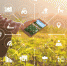 30 команд от Мурманска до Владивостока поборются в финале AgroCode Hack 2022 - Pg13.Ru