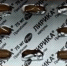 27cyJUii9TQ (1) (1) (1) - Известия Мордовии