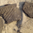04 - Известия Мордовии