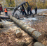 В городе Саранске следователи СК начали проверку по факту падения дерева на остановку общественного транспорта - Следственный комитет
