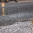 В Мордовии МЧС выпустило штормовое предупреждение из-за ливня и сильного ветра 17 октября - Pg13.Ru