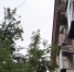 С 17 июня застекленные балконы запрещены: оштрафуют, вынудят убрать остекленение — во что обойдется эта "радость" - Pg13.Ru