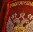 ww5FGOIQ25U (2) (1) - Известия Мордовии