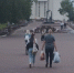 Пойдут по платиновой полосе: Тамара Глоба назвала три знака Зодиака — жизнь заиграет богатыми красками к концу июля - Pg13.Ru