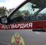 В Саранске росгвардейцы задержали буйного клиента букмекерской конторы - Вечерний Саранск