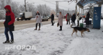 Снега будет по второй этаж. Синоптики уточнили дату конца аномальных снегопадов