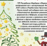С Новым годом! - Столица С