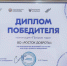 Волонтёрский отряд «Росток ДобротЫ» МГПУ имени М.Е. Евсевьева стал «Прорывом года» - Info-Rm.Com