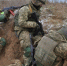 Курское направление: всего за сутки ВСУ потеряли 540 военных - Столица С