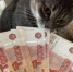 Для всех, кто дома хранит купюры 5000 рублей: важное изменение с середины марта - Pg13.Ru