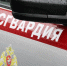 В Мордовии росгвардейцы задержали очередного любителя «бесплатных» товаров - Росгвардия