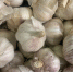 Названы 3 самых полезных продукта для человека - Pg13.Ru