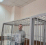 Арестован глава управления Госстройнадзора Минобороны Юрий Кожевников - Столица С