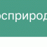 Росприроднадзор через суд взыскивает с коммунального предприятия в Мордовии более 15,7 миллионов рублей задолженности по экологическим платежам - Вестник Мордовии