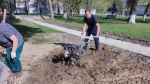 На субботник в Теньгушеве вышло более 150 человек