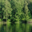 Популярные водоемы в Саранске закрыты для купания - Вестник Мордовии