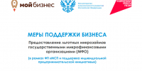 Бизнес Мордовии получает льготные микрозаймы на выгодных условиях - Министерство Экономики