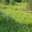 Bolsheignatovskiy_16.06.25(2) (1) - Известия Мордовии