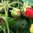 zKiUxmSL_tKT0u3R-gNlfBctyYwmVnrp90S3Frf2hS2V3sby6He7WqR3rW8FQvk-14zKitIX436EAarZBP0mvdbx (1) - Известия Мордовии