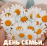 В День семьи, любви и верности в Саранске пройдут праздничные мероприятия - Вечерний Саранск