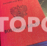Ветераны СВО из Мордовии побывали на экскурсии по Карелии и Выборгу - Pg13.Ru
