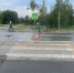 В Саранске водитель "Лады-211440" сбил на переходе 18-летнюю девушку - Вестник Мордовии
