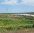 В Мордовии пройдет первый в истории Всероссийский агродиктант - Pg13.Ru
