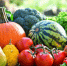 Сезонные продукты сентября. - Роспотребнадзор