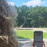 В парке Рузаевки появился бесплатный Wi-Fi - Info-Rm.Com