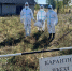 С очень опасной инфекцией боролись ветеринары в Мордовии - Info-Rm.Com