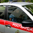 В Мордовии за неделю экипажи Росгвардии 64 раза выезжали по сигналу "Тревога" - Вестник Мордовии