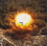 Американский "подарок" – реактивная система M142 HIMARS сожжена "Искадером" - Вестник Мордовии