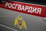 В Мордовии за прошедшую неделю экипажи Росгвардии 76 раз выезжали по сигналу "Тревога"