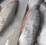 Цены на рыбу в России решили сделать более прозрачными - Info-Rm.Com
