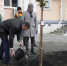 В Саранске появилась аллея городов Поволжья - Info-Rm.Com
