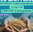 Мордовия идет на рекордный урожай! - Столица С