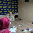 img - ЛДПР