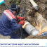 Светотехстрой ждет масштабная модернизация водопроводной системы - Министерство энергетики и ЖКХ