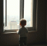 img - ЛДПР