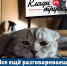 JPG Файл - ОМВД Республики Мордовия