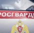 В Мордовии росгвардейцы пресекли мелкое хищение в супермаркете - Росгвардия