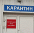 В Саранске ветеринары обследовали собачку после нападения лисы - Info-Rm.Com