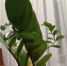 7otw9wvqykgqwylfvjimad9cbc3d8fifrk0hmnho6_evgx7q9xddeno506drfslozz8yviddenkbwwtnnez2j8y_-696x470.jpg - Известия Мордовии