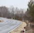 Дорога замедленного действия - Столица С