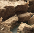 halva-696x435.jpg - Известия Мордовии