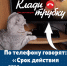 JPG Файл - ОМВД Республики Мордовия
